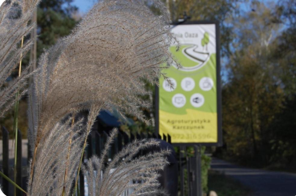 Wypoczynek Letnia Oaza Villa Sobienie Jeziory Exterior foto
